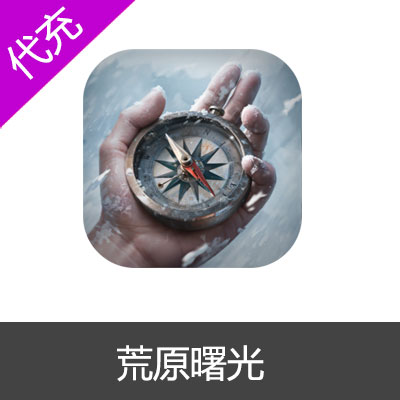 荒原曙光金镑代充